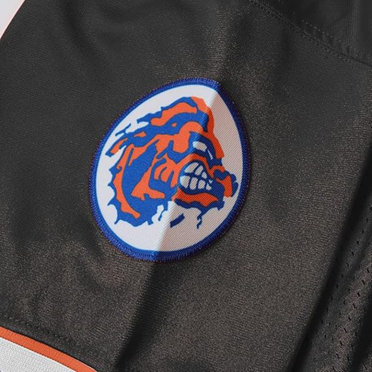 Gully Sports Jersey IT, Q, X, With: Unveiling the Success Behind the Brand